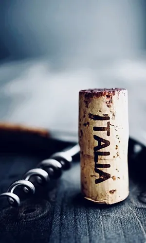 A wine cork and bottle